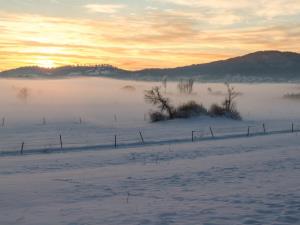 Petelinjsko polje__ Andrej Udovič
